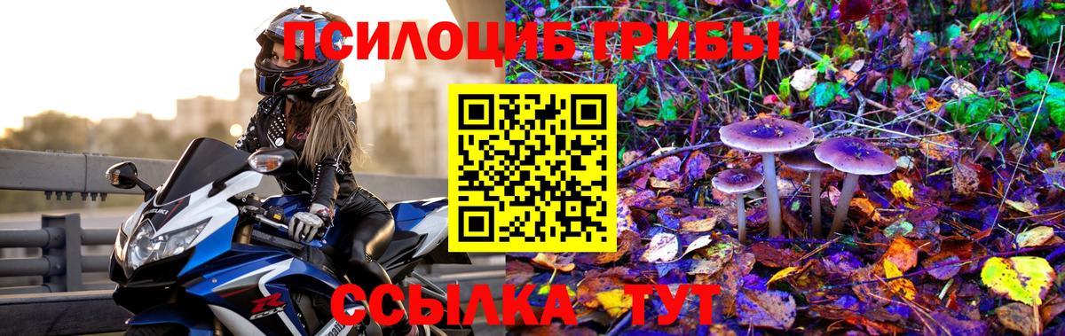 хочу наркоту  Галлюциногенные грибы мицелий  Ливны  Вход с VPN  Псилоцибиновые грибы MAGIC MUSHROOMS 